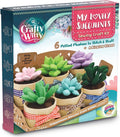 Felt Succulents Craft Kit. Make 6 Potted Colorful Plushies & A Display Rack. Mini Garden DIY Sewing Project, Activity Set, Arts & Crafts Supplies - Great Gift for Teens and Adults
