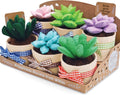 Felt Succulents Craft Kit. Make 6 Potted Colorful Plushies & A Display Rack. Mini Garden DIY Sewing Project, Activity Set, Arts & Crafts Supplies - Great Gift for Teens and Adults