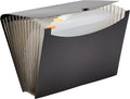 Amazon Basics Expanding Organizer File Folder for Documents, Letter Size, 13 Pockets, Waterproof, Black & Gray, 2-Pack