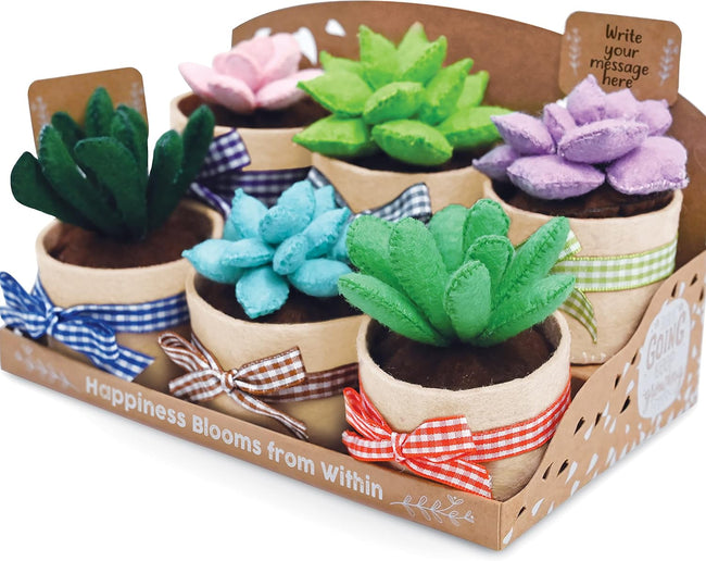 Felt Succulents Craft Kit. Make 6 Potted Colorful Plushies & A Display Rack. Mini Garden DIY Sewing Project, Activity Set, Arts & Crafts Supplies - Great Gift for Teens and Adults